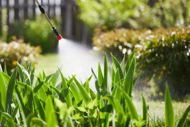 24/7 Emergency Wasp Removal experts in Frankfort, IL